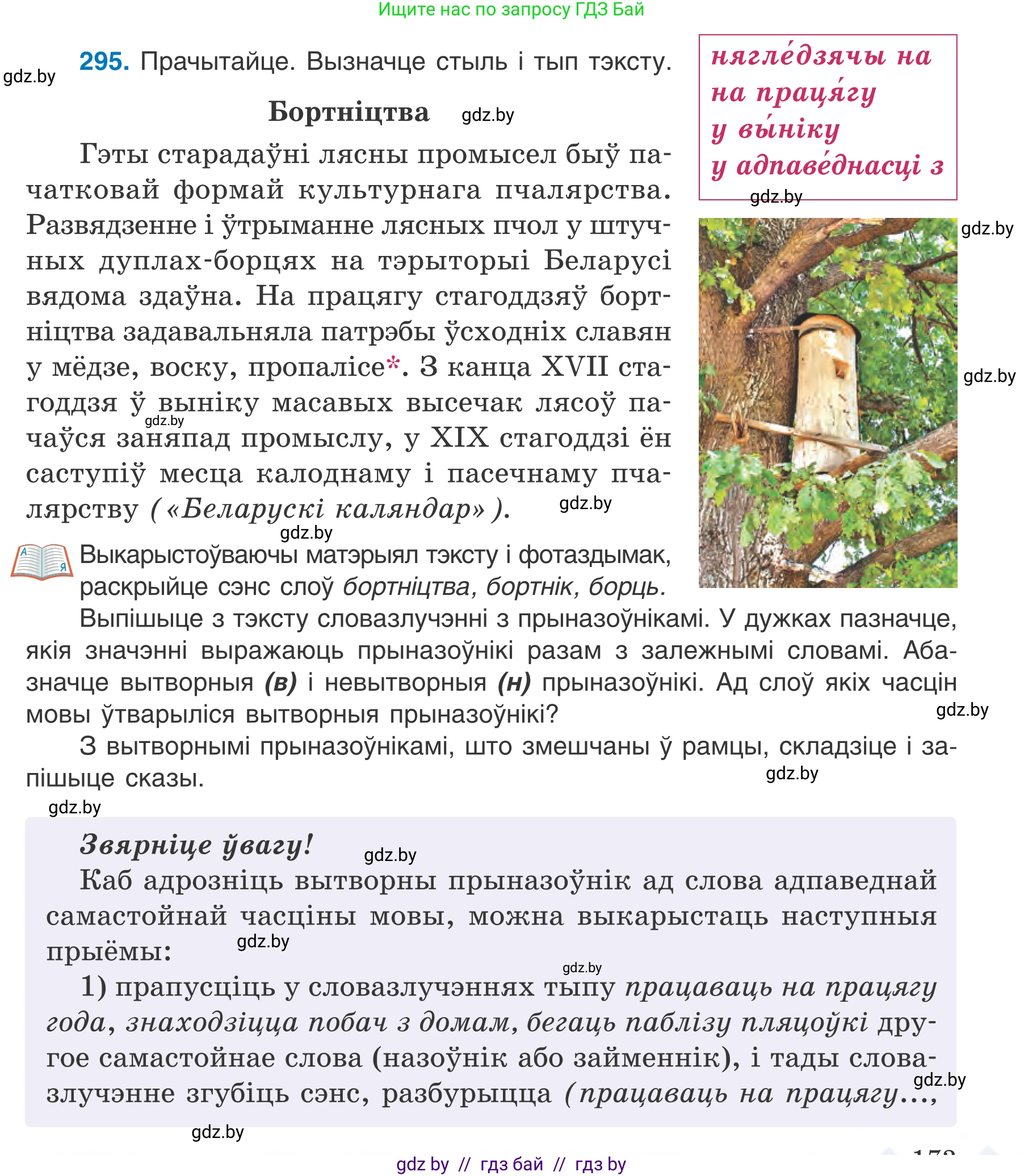 Белорусский язык (Беларуская мова), 7 класс Учебник, авторы: Валочка Ганна Міхайлаўна, Зелянко Вольга Уладзіміраўна, Язерская Святлана Анатольеўна, издательство Нацыянальны інстытут адукацыі, Минск, 2020, страница 173, номер 295, Условие