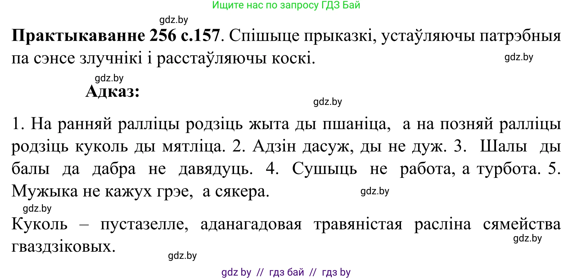 Белорусский язык (Беларуская мова), 8 класс Учебник, авторы: Бадзевіч Зінаіда Іванаўна, Саматыя Ірына Мікалаеўна, издательство Нацыянальны інстытут адукацыі, Минск, 2020, страница 157, номер 256, Решение
