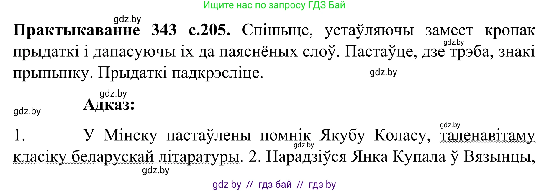 Белорусский язык (Беларуская мова), 8 класс Учебник, авторы: Бадзевіч Зінаіда Іванаўна, Саматыя Ірына Мікалаеўна, издательство Нацыянальны інстытут адукацыі, Минск, 2020, страница 205, номер 343, Решение