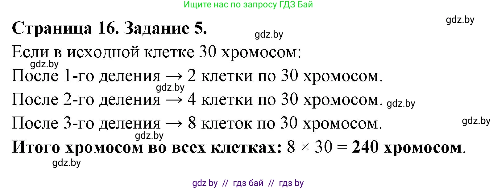 Биология, 6 класс Сборник контрольных и самостоятельных работ, авторы: Городович Наталья Ивановна, Капцевич Марина Викторовна, Сеген Елена Адамовна, издательство Аверсэв, Минск, 2021, страница 16, номер 5, Решение