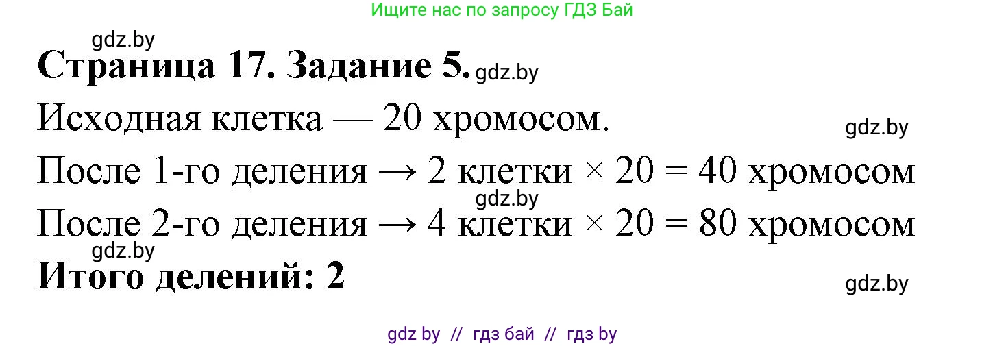 Биология, 6 класс Сборник контрольных и самостоятельных работ, авторы: Городович Наталья Ивановна, Капцевич Марина Викторовна, Сеген Елена Адамовна, издательство Аверсэв, Минск, 2021, страница 17, номер 5, Решение