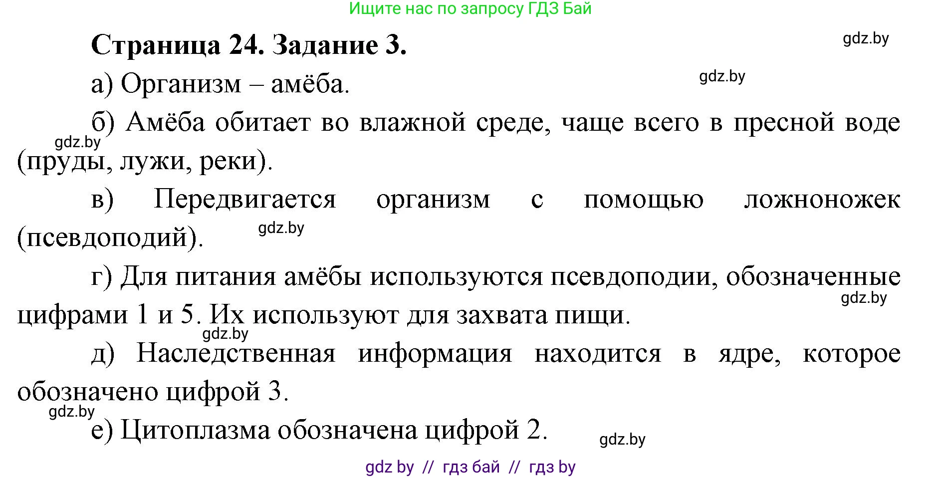 Биология, 6 класс Сборник контрольных и самостоятельных работ, авторы: Городович Наталья Ивановна, Капцевич Марина Викторовна, Сеген Елена Адамовна, издательство Аверсэв, Минск, 2021, страница 24, номер 3, Решение