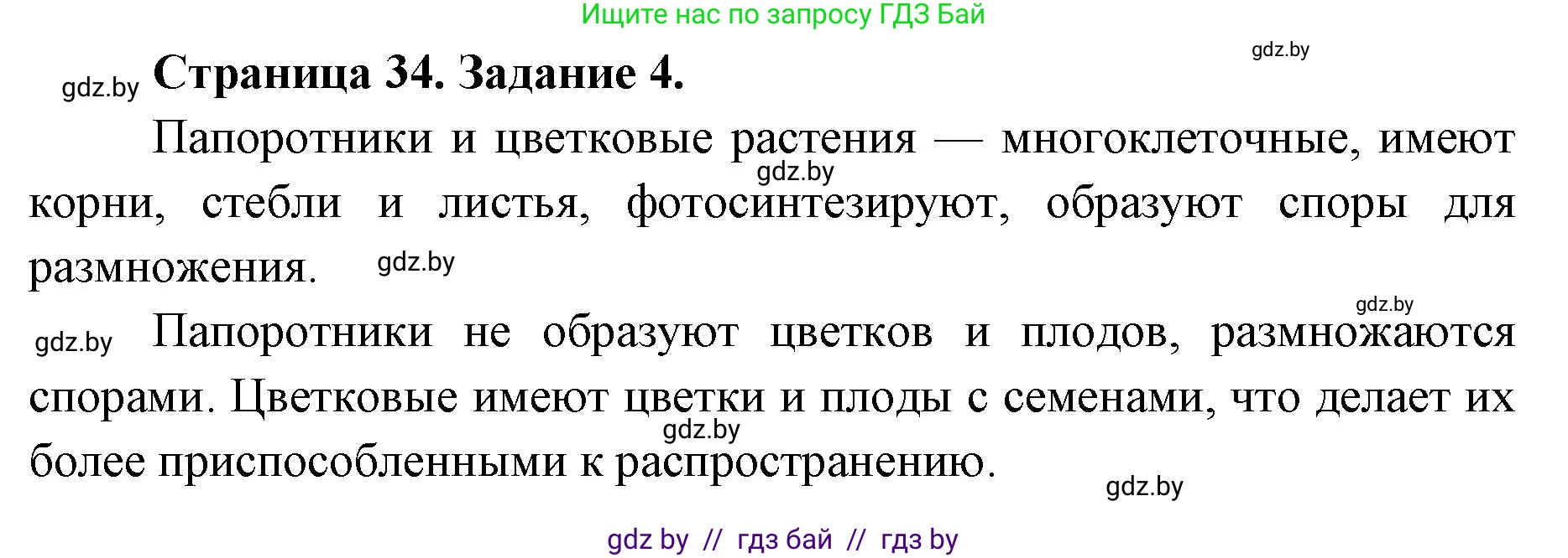Биология, 6 класс Сборник контрольных и самостоятельных работ, авторы: Городович Наталья Ивановна, Капцевич Марина Викторовна, Сеген Елена Адамовна, издательство Аверсэв, Минск, 2021, страница 34, номер 4, Решение