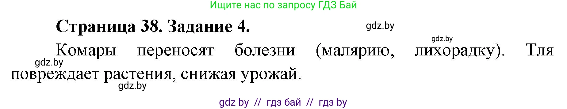 Биология, 6 класс Сборник контрольных и самостоятельных работ, авторы: Городович Наталья Ивановна, Капцевич Марина Викторовна, Сеген Елена Адамовна, издательство Аверсэв, Минск, 2021, страница 38, номер 4, Решение