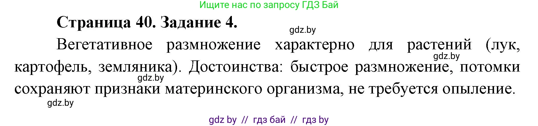 Биология, 6 класс Сборник контрольных и самостоятельных работ, авторы: Городович Наталья Ивановна, Капцевич Марина Викторовна, Сеген Елена Адамовна, издательство Аверсэв, Минск, 2021, страница 40, номер 4, Решение