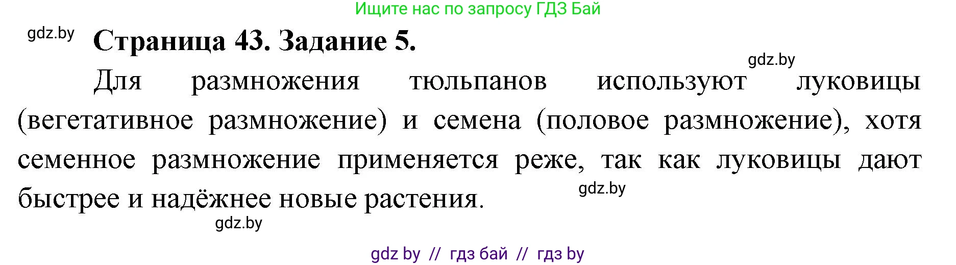 Биология, 6 класс Сборник контрольных и самостоятельных работ, авторы: Городович Наталья Ивановна, Капцевич Марина Викторовна, Сеген Елена Адамовна, издательство Аверсэв, Минск, 2021, страница 43, номер 5, Решение
