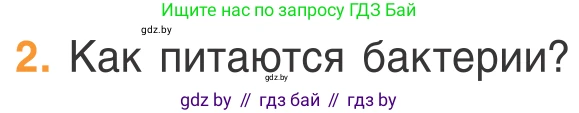 Биология, 6 класс Учебник, автор: Лисов Николай Дмитриевич, издательство Народная асвета, Минск, 2021, зелёного цвета, страница 43, номер 2, Условие