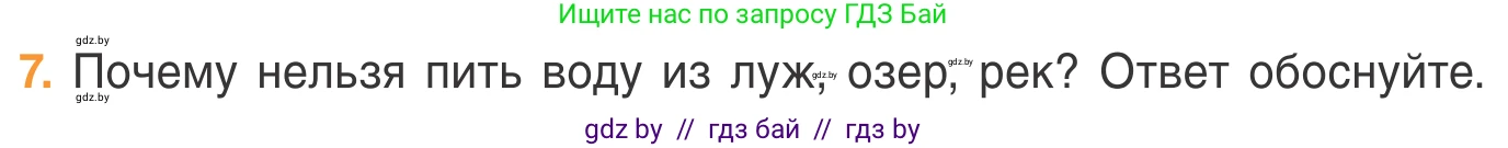 Биология, 6 класс Учебник, автор: Лисов Николай Дмитриевич, издательство Народная асвета, Минск, 2021, зелёного цвета, страница 43, номер 7, Условие