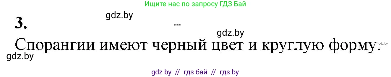 Биология, 7 класс Тетрадь для лабораторных и практических работ, автор: Лисов Николай Дмитриевич, издательство Аверсэв, Минск, 2022, зелёного цвета, страница 11, номер 3, Решение