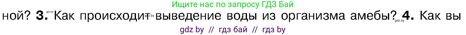 Биология, 7 класс Учебник, автор: Лисов Николай Дмитриевич, издательство Народная асвета, Минск, 2022, зелёного цвета, страница 34, номер 3, Условие