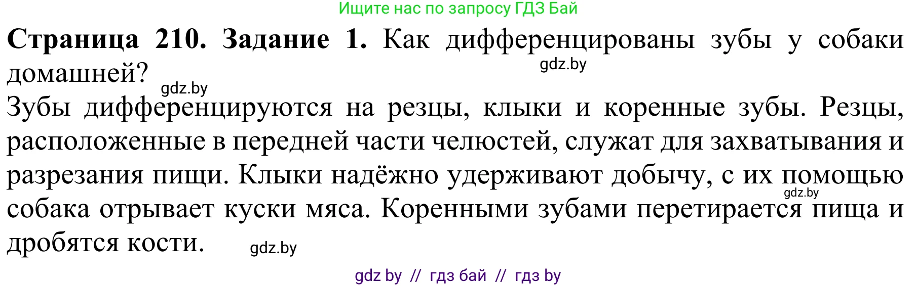 Биология, 8 класс Учебник, авторы: Бедарик Ирина Геннадьевна, Бедарик Александр Евгеньевич, Иванов Владимир Николаевич, издательство Адукацыя i выхаванне, Минск, 2023, зелёного цвета, страница 210, Решение