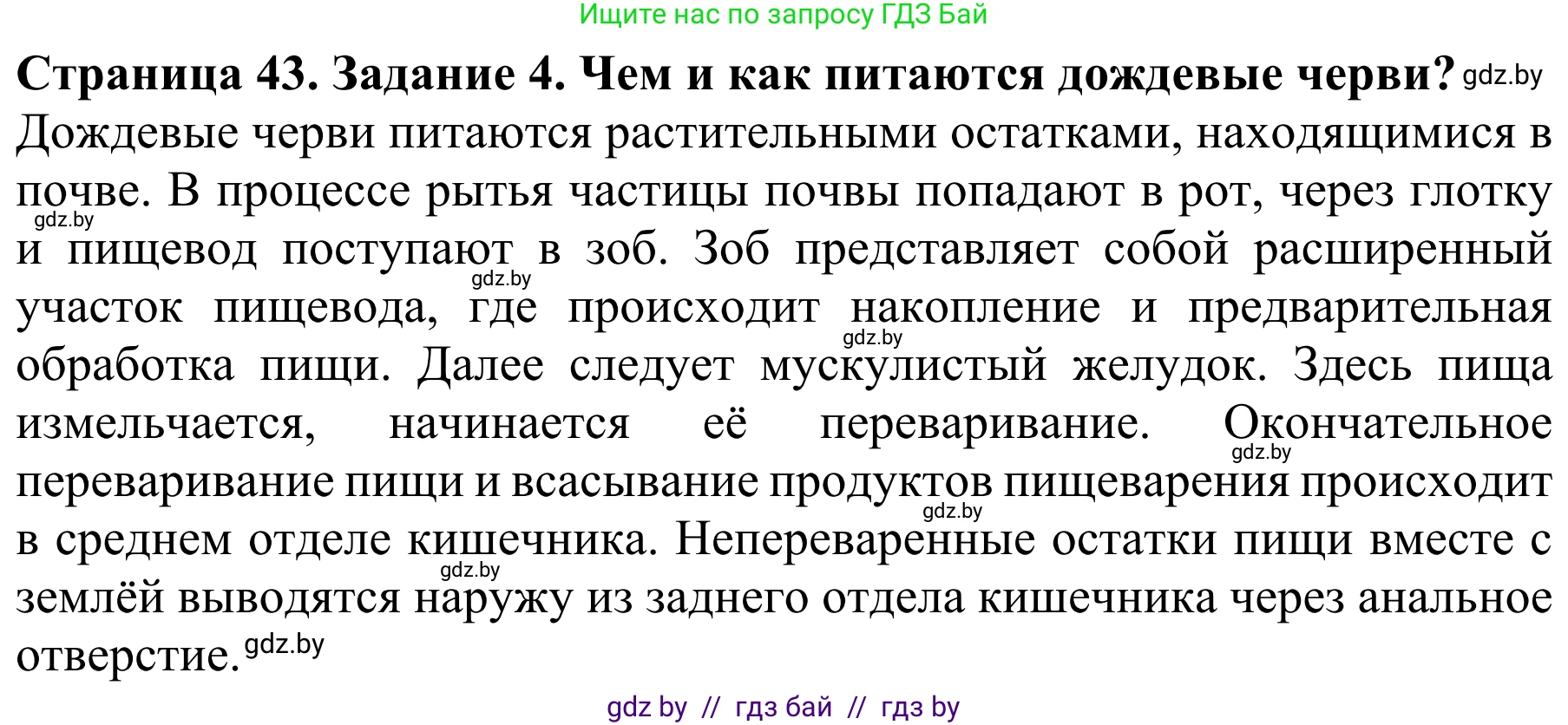 Биология, 8 класс Учебник, авторы: Бедарик Ирина Геннадьевна, Бедарик Александр Евгеньевич, Иванов Владимир Николаевич, издательство Адукацыя i выхаванне, Минск, 2023, зелёного цвета, страница 43, номер 4, Решение