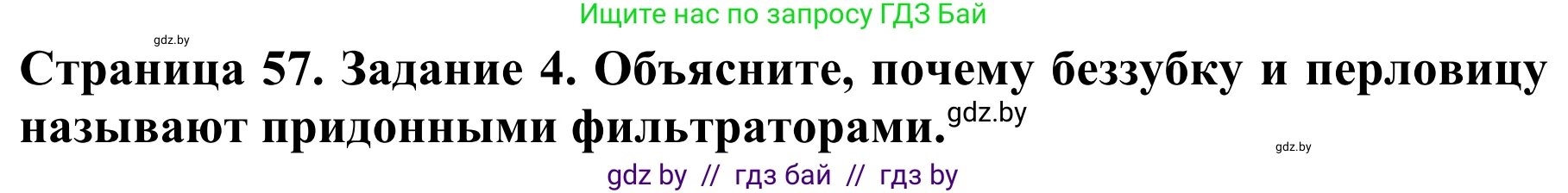 Биология, 8 класс Учебник, авторы: Бедарик Ирина Геннадьевна, Бедарик Александр Евгеньевич, Иванов Владимир Николаевич, издательство Адукацыя i выхаванне, Минск, 2023, зелёного цвета, страница 57, номер 4, Решение