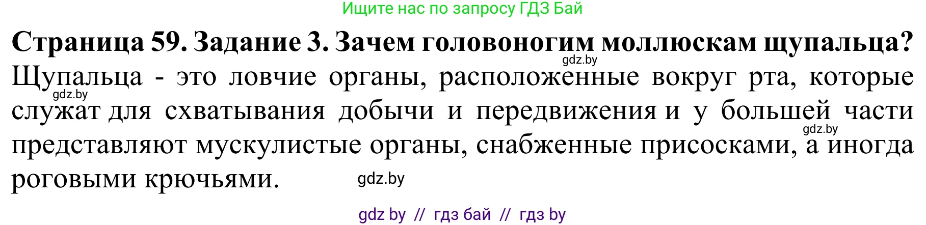 Биология, 8 класс Учебник, авторы: Бедарик Ирина Геннадьевна, Бедарик Александр Евгеньевич, Иванов Владимир Николаевич, издательство Адукацыя i выхаванне, Минск, 2023, зелёного цвета, страница 59, номер 3, Решение