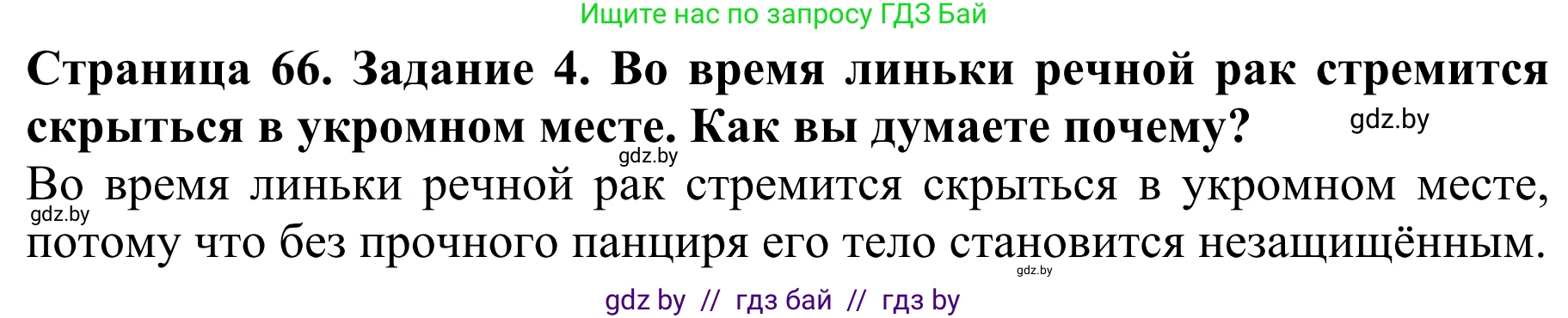 Биология, 8 класс Учебник, авторы: Бедарик Ирина Геннадьевна, Бедарик Александр Евгеньевич, Иванов Владимир Николаевич, издательство Адукацыя i выхаванне, Минск, 2023, зелёного цвета, страница 66, номер 4, Решение
