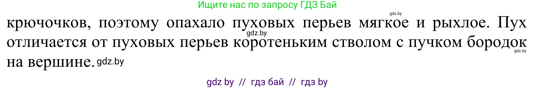 Биология, 8 класс Учебник, авторы: Бедарик Ирина Геннадьевна, Бедарик Александр Евгеньевич, Иванов Владимир Николаевич, издательство Адукацыя i выхаванне, Минск, 2023, зелёного цвета, страница 164, номер 3, Решение (продолжение 2)