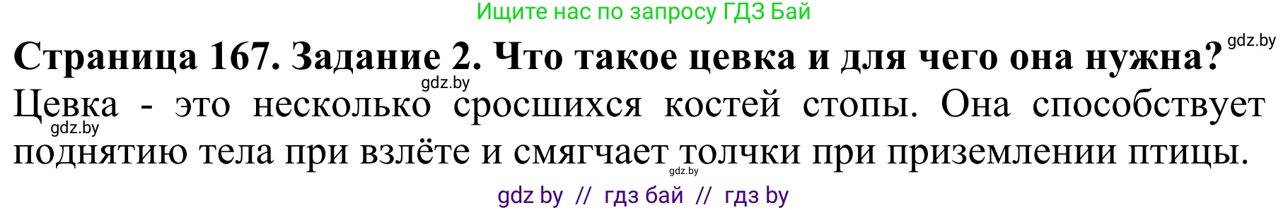 Биология, 8 класс Учебник, авторы: Бедарик Ирина Геннадьевна, Бедарик Александр Евгеньевич, Иванов Владимир Николаевич, издательство Адукацыя i выхаванне, Минск, 2023, зелёного цвета, страница 167, номер 2, Решение