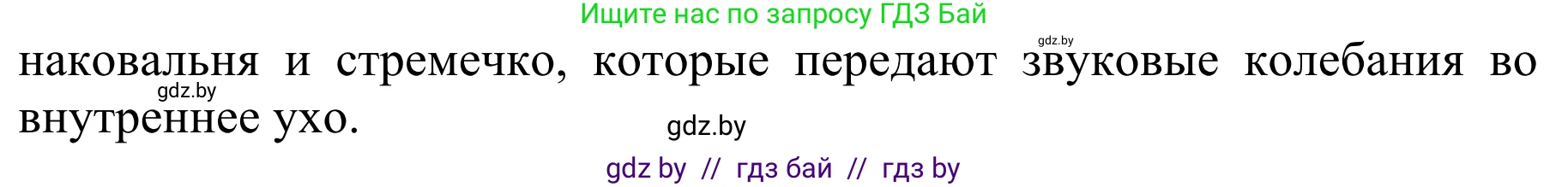 Биология, 8 класс Учебник, авторы: Бедарик Ирина Геннадьевна, Бедарик Александр Евгеньевич, Иванов Владимир Николаевич, издательство Адукацыя i выхаванне, Минск, 2023, зелёного цвета, страница 202, номер 2, Решение (продолжение 2)