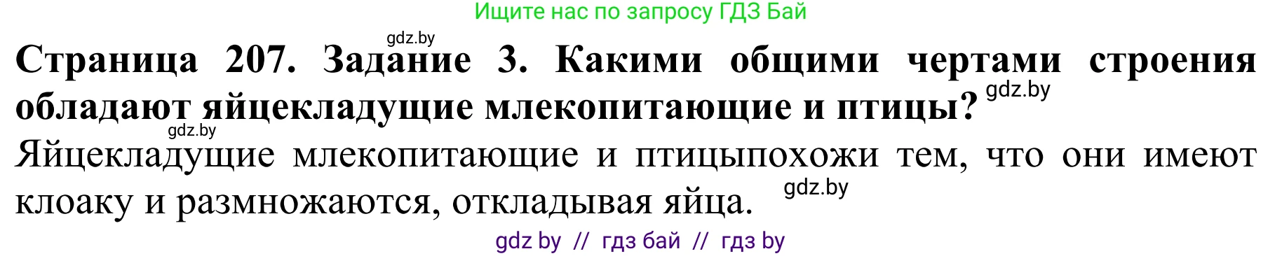 Биология, 8 класс Учебник, авторы: Бедарик Ирина Геннадьевна, Бедарик Александр Евгеньевич, Иванов Владимир Николаевич, издательство Адукацыя i выхаванне, Минск, 2023, зелёного цвета, страница 207, номер 3, Решение