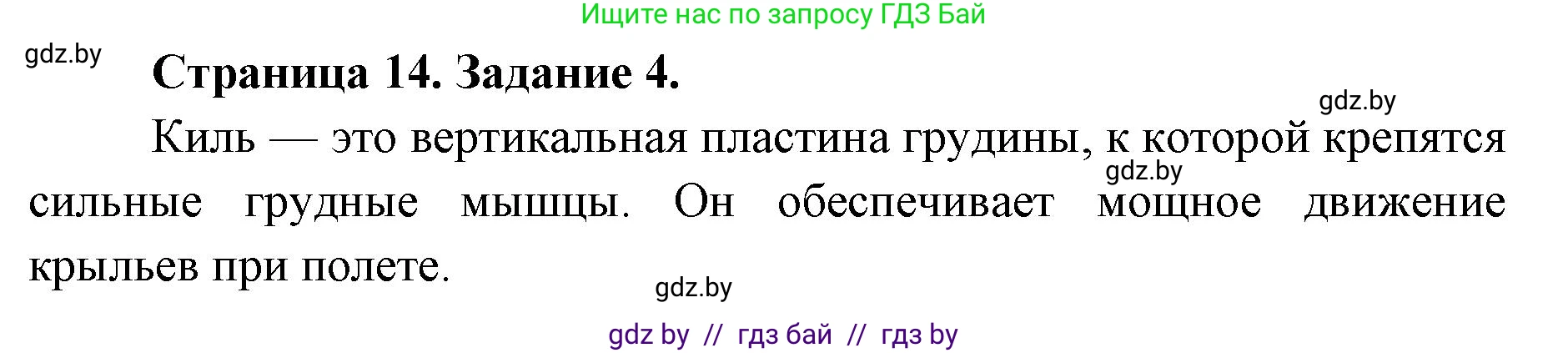 Биология, 8 класс Сборник контрольных и самостоятельных работ, авторы: Дубков Сергей Григорьевич, Городович Наталья Ивановна, Сеген Елена Адамовна, издательство Аверсэв, Минск, 2025, страница 14, номер 4, Решение