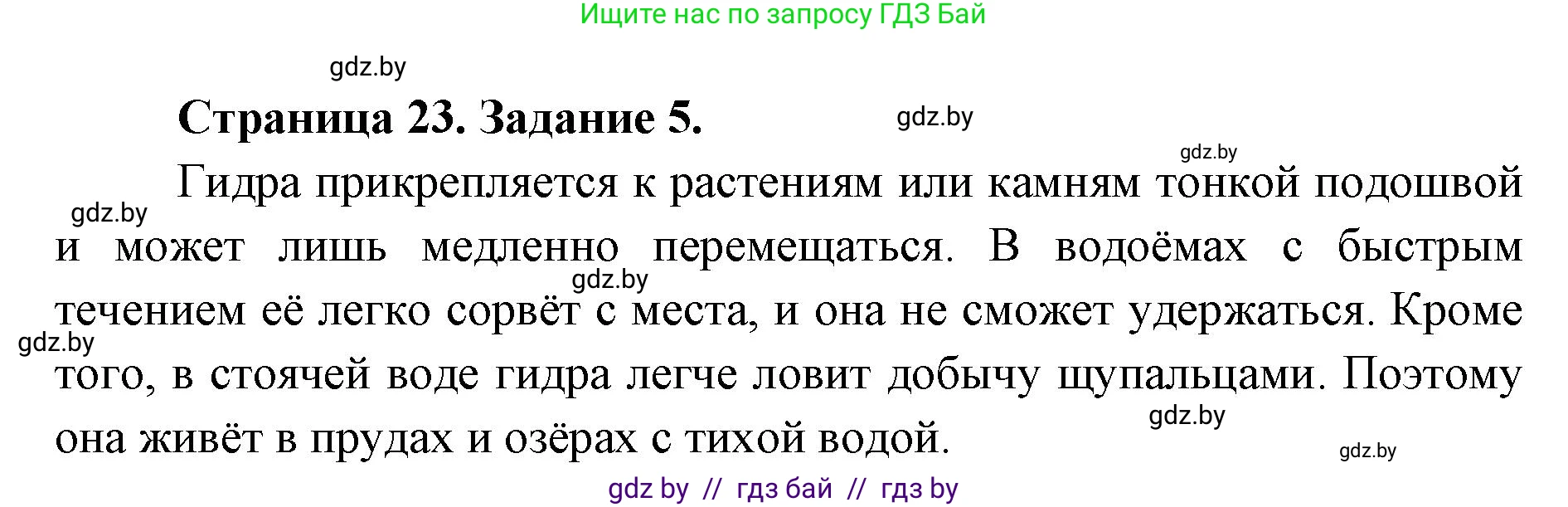 Биология, 8 класс Сборник контрольных и самостоятельных работ, авторы: Дубков Сергей Григорьевич, Городович Наталья Ивановна, Сеген Елена Адамовна, издательство Аверсэв, Минск, 2025, страница 23, номер 5, Решение