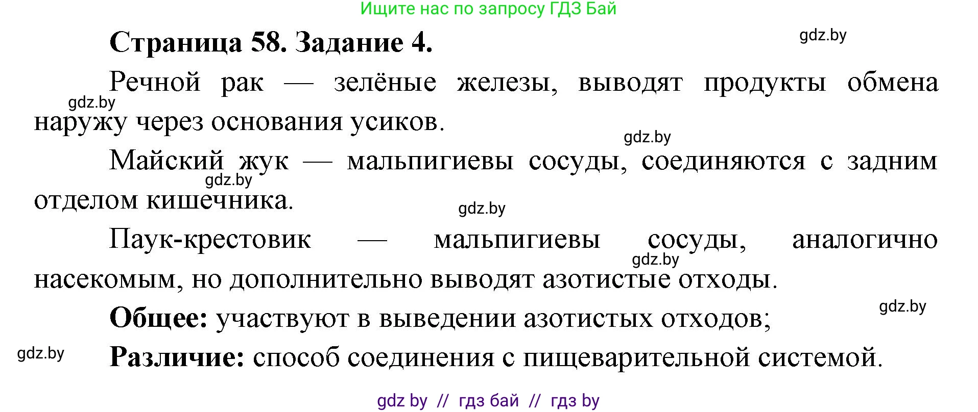 Биология, 8 класс Сборник контрольных и самостоятельных работ, авторы: Дубков Сергей Григорьевич, Городович Наталья Ивановна, Сеген Елена Адамовна, издательство Аверсэв, Минск, 2025, страница 58, номер 4, Решение