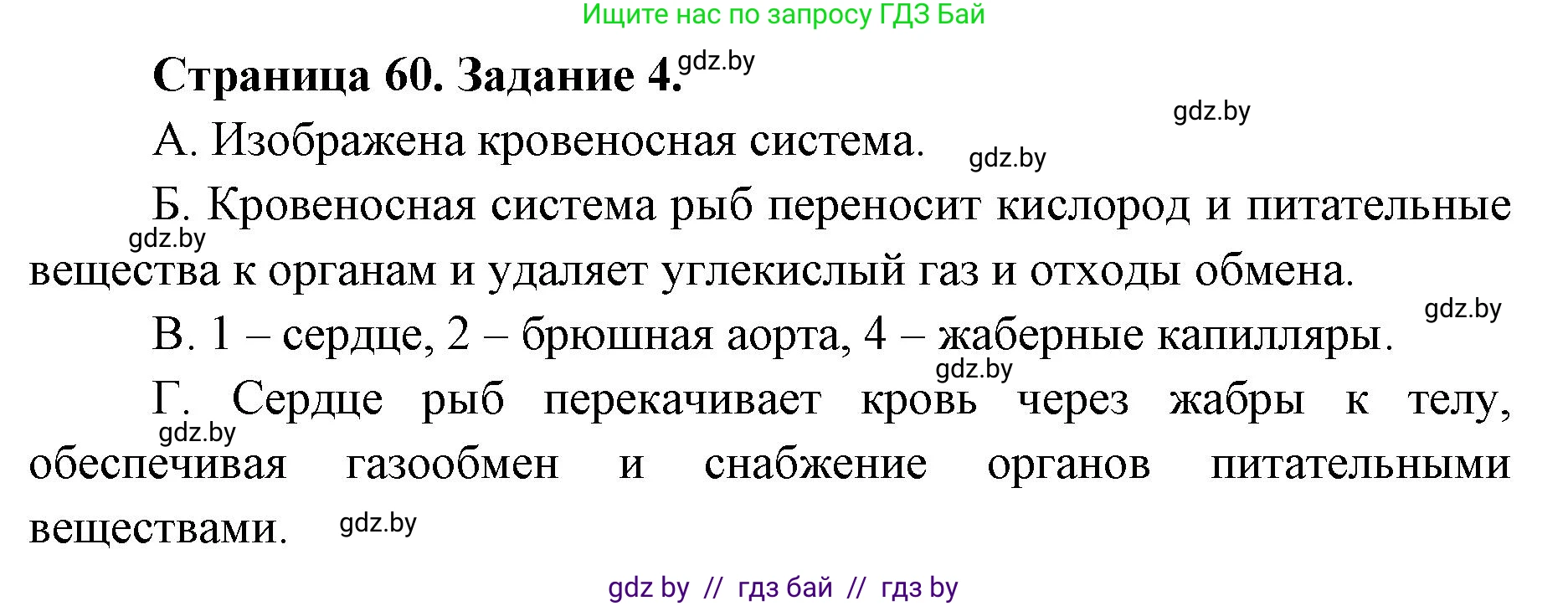 Биология, 8 класс Сборник контрольных и самостоятельных работ, авторы: Дубков Сергей Григорьевич, Городович Наталья Ивановна, Сеген Елена Адамовна, издательство Аверсэв, Минск, 2025, страница 60, номер 4, Решение