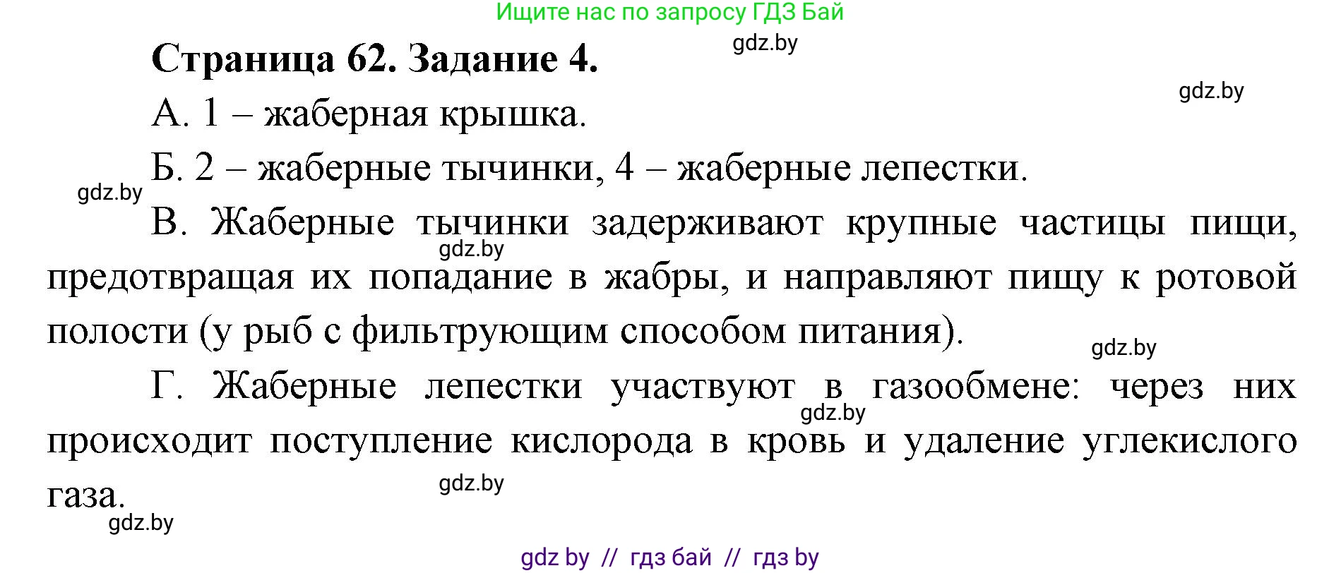 Биология, 8 класс Сборник контрольных и самостоятельных работ, авторы: Дубков Сергей Григорьевич, Городович Наталья Ивановна, Сеген Елена Адамовна, издательство Аверсэв, Минск, 2025, страница 62, номер 4, Решение