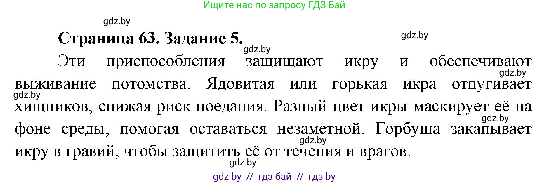 Биология, 8 класс Сборник контрольных и самостоятельных работ, авторы: Дубков Сергей Григорьевич, Городович Наталья Ивановна, Сеген Елена Адамовна, издательство Аверсэв, Минск, 2025, страница 63, номер 5, Решение