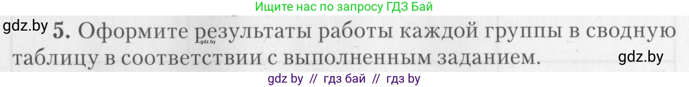 Биология, 8 класс тетрадь для экскусрий, лабораторных и практических работ, автор: Рогожников Олег Николаевич, издательство Сэр-Вит, Минск, 2021, сиреневого цвета, страница 29, номер 5, Условие