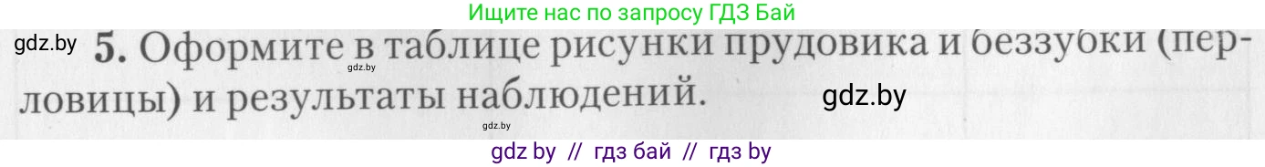 Биология, 8 класс тетрадь для экскусрий, лабораторных и практических работ, автор: Рогожников Олег Николаевич, издательство Сэр-Вит, Минск, 2021, сиреневого цвета, страница 7, номер 5, Условие