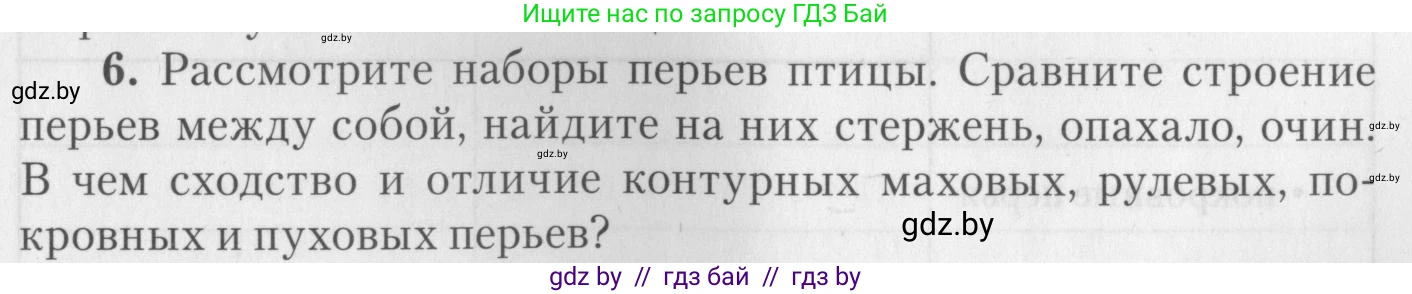 Биология, 8 класс тетрадь для экскусрий, лабораторных и практических работ, автор: Рогожников Олег Николаевич, издательство Сэр-Вит, Минск, 2021, сиреневого цвета, страница 19, номер 6, Условие