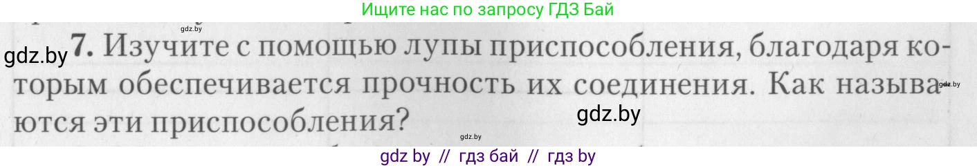 Биология, 8 класс тетрадь для экскусрий, лабораторных и практических работ, автор: Рогожников Олег Николаевич, издательство Сэр-Вит, Минск, 2021, сиреневого цвета, страница 19, номер 7, Условие