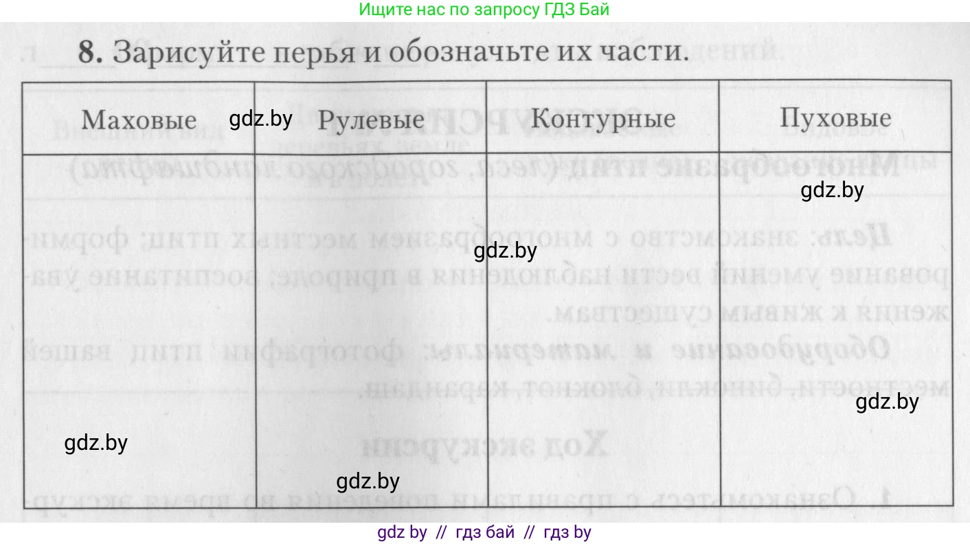 Биология, 8 класс тетрадь для экскусрий, лабораторных и практических работ, автор: Рогожников Олег Николаевич, издательство Сэр-Вит, Минск, 2021, сиреневого цвета, страница 19, номер 8, Условие (продолжение 3)