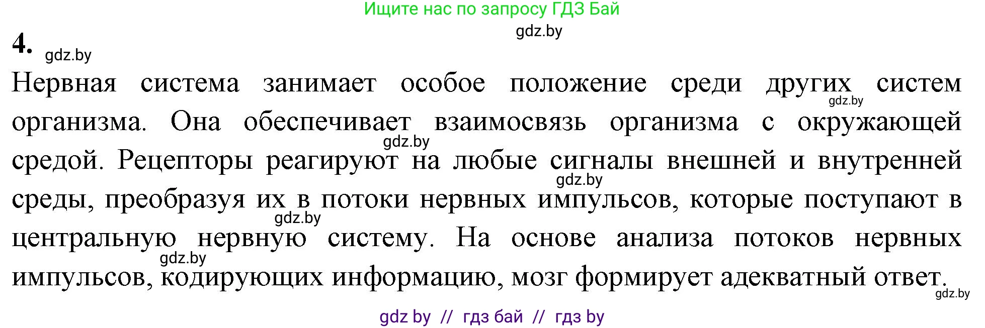 Биология, 9 класс Тетрадь для лабораторных и практических работ, авторы: Борисов Олег Леонидович, Антипенко Алеся Анатольевна, издательство Аверсэв, Минск, 2023, страница 19, номер 4, Решение