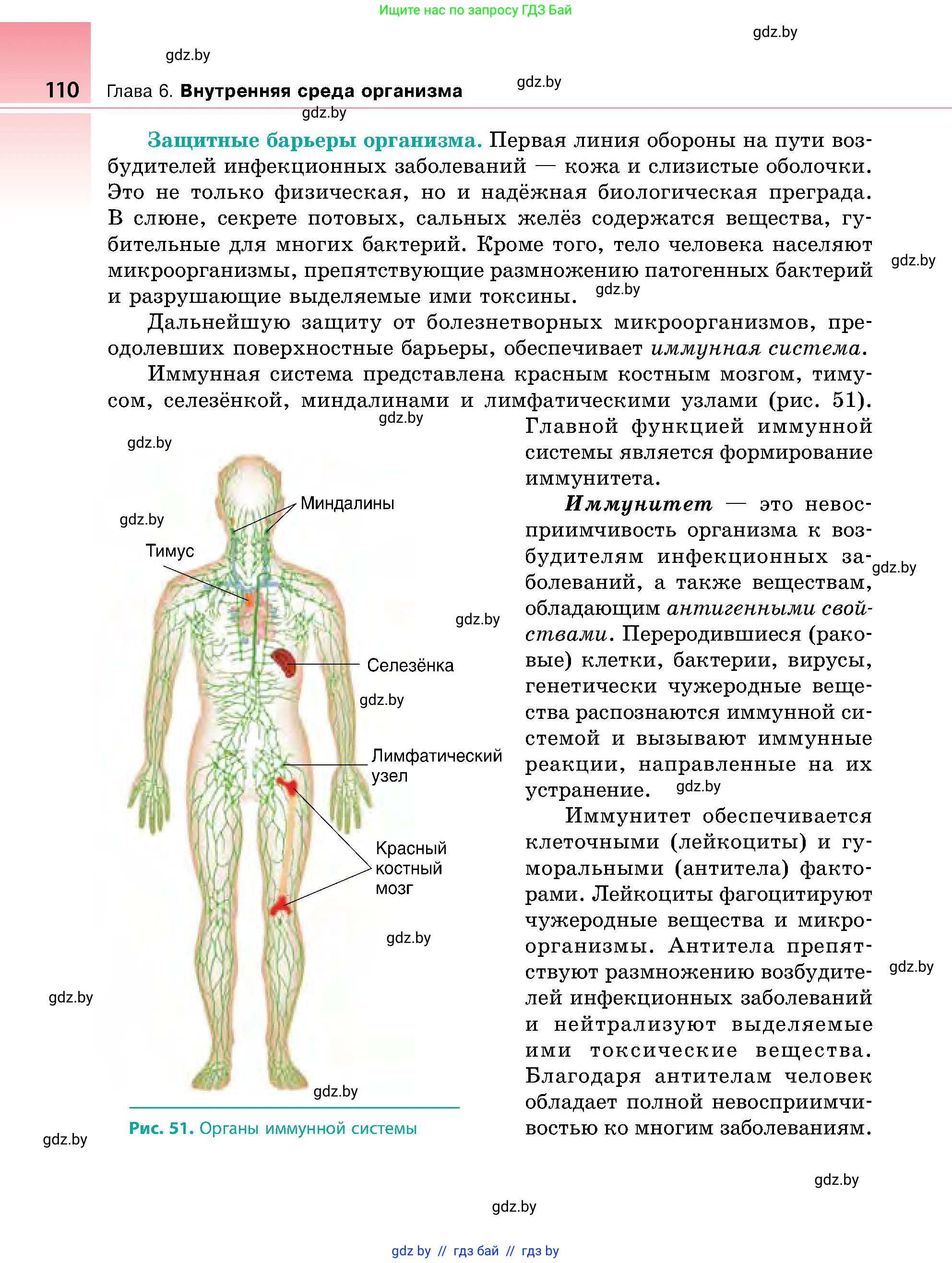 Биология, 9 класс Учебник, авторы: Борисов Олег Леонидович, Антипенко Алеся Анатольевна, Рогожников Олег Николаевич, издательство Адукацыя i выхаванне, Минск, 2025, бирюзового цвета, страница 110
