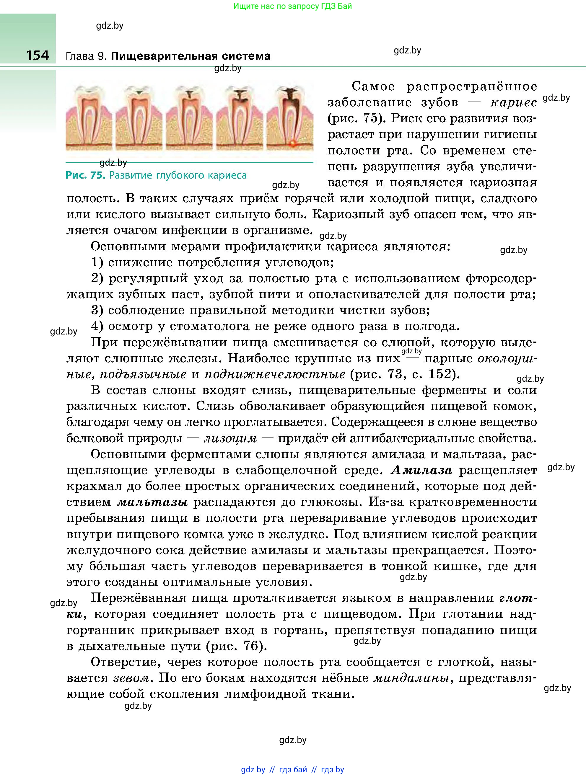 Биология, 9 класс Учебник, авторы: Борисов Олег Леонидович, Антипенко Алеся Анатольевна, Рогожников Олег Николаевич, издательство Адукацыя i выхаванне, Минск, 2025, бирюзового цвета, страница 154