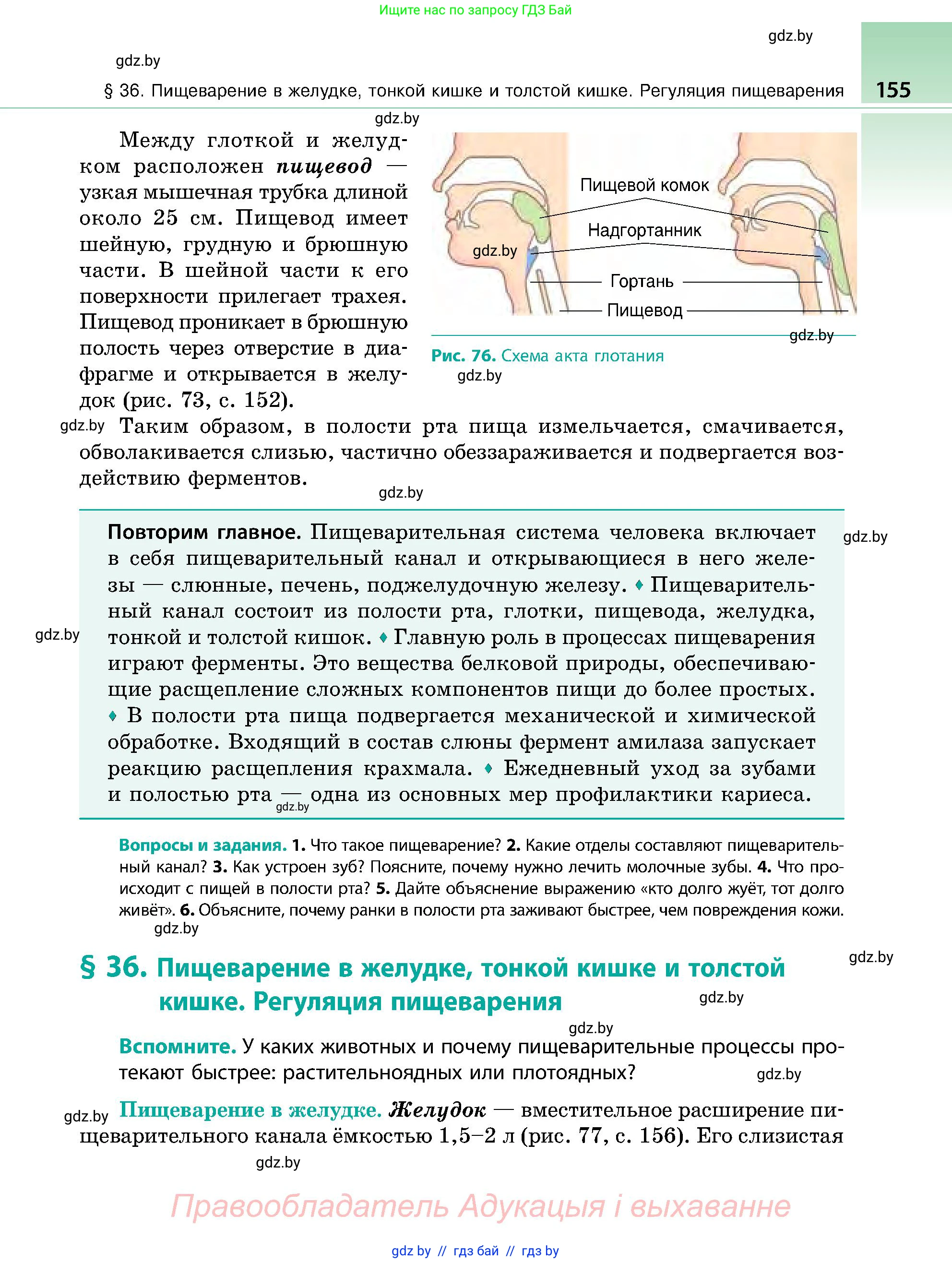 Биология, 9 класс Учебник, авторы: Борисов Олег Леонидович, Антипенко Алеся Анатольевна, Рогожников Олег Николаевич, издательство Адукацыя i выхаванне, Минск, 2025, бирюзового цвета, страница 155
