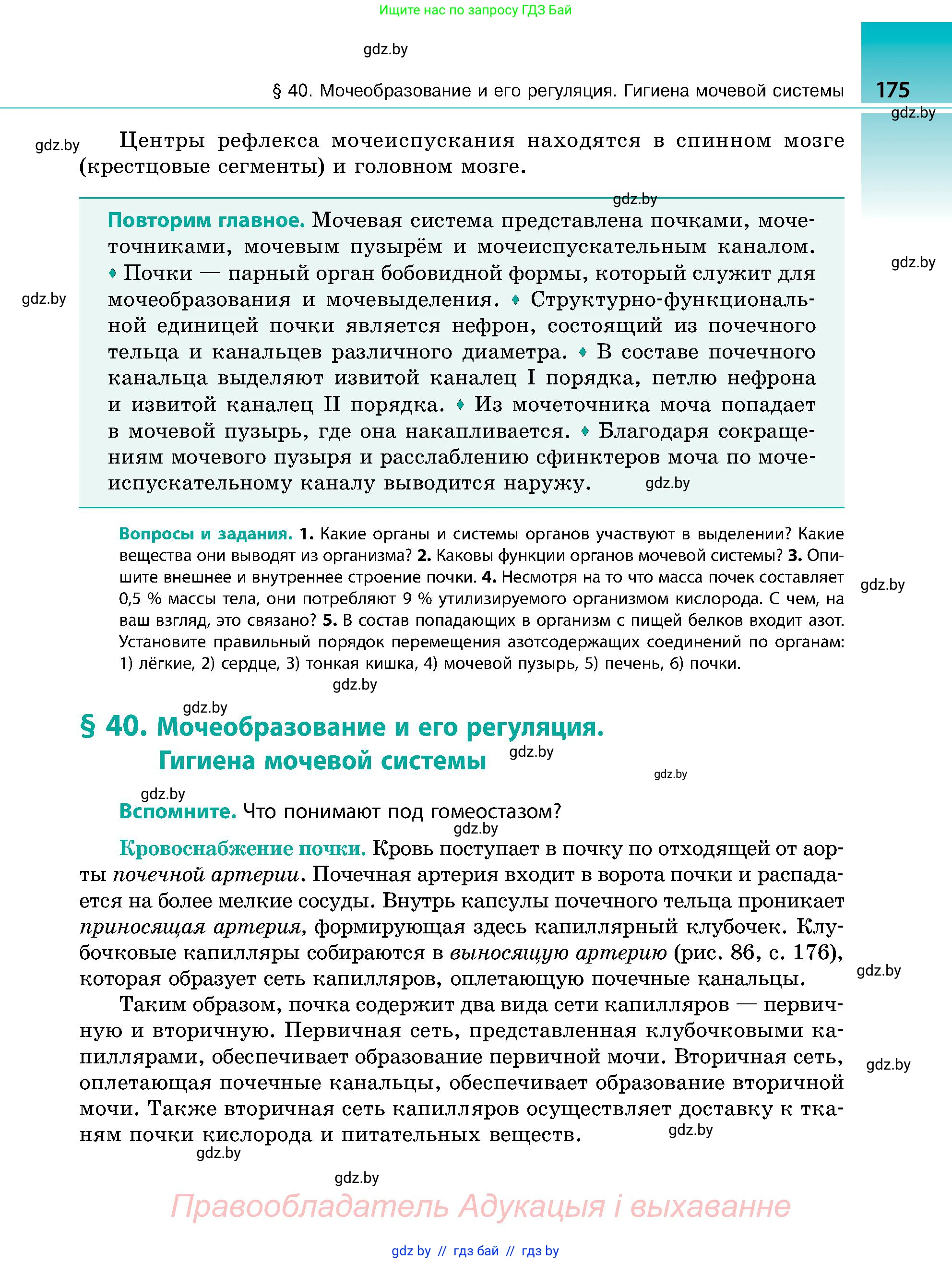 Биология, 9 класс Учебник, авторы: Борисов Олег Леонидович, Антипенко Алеся Анатольевна, Рогожников Олег Николаевич, издательство Адукацыя i выхаванне, Минск, 2025, бирюзового цвета, страница 175