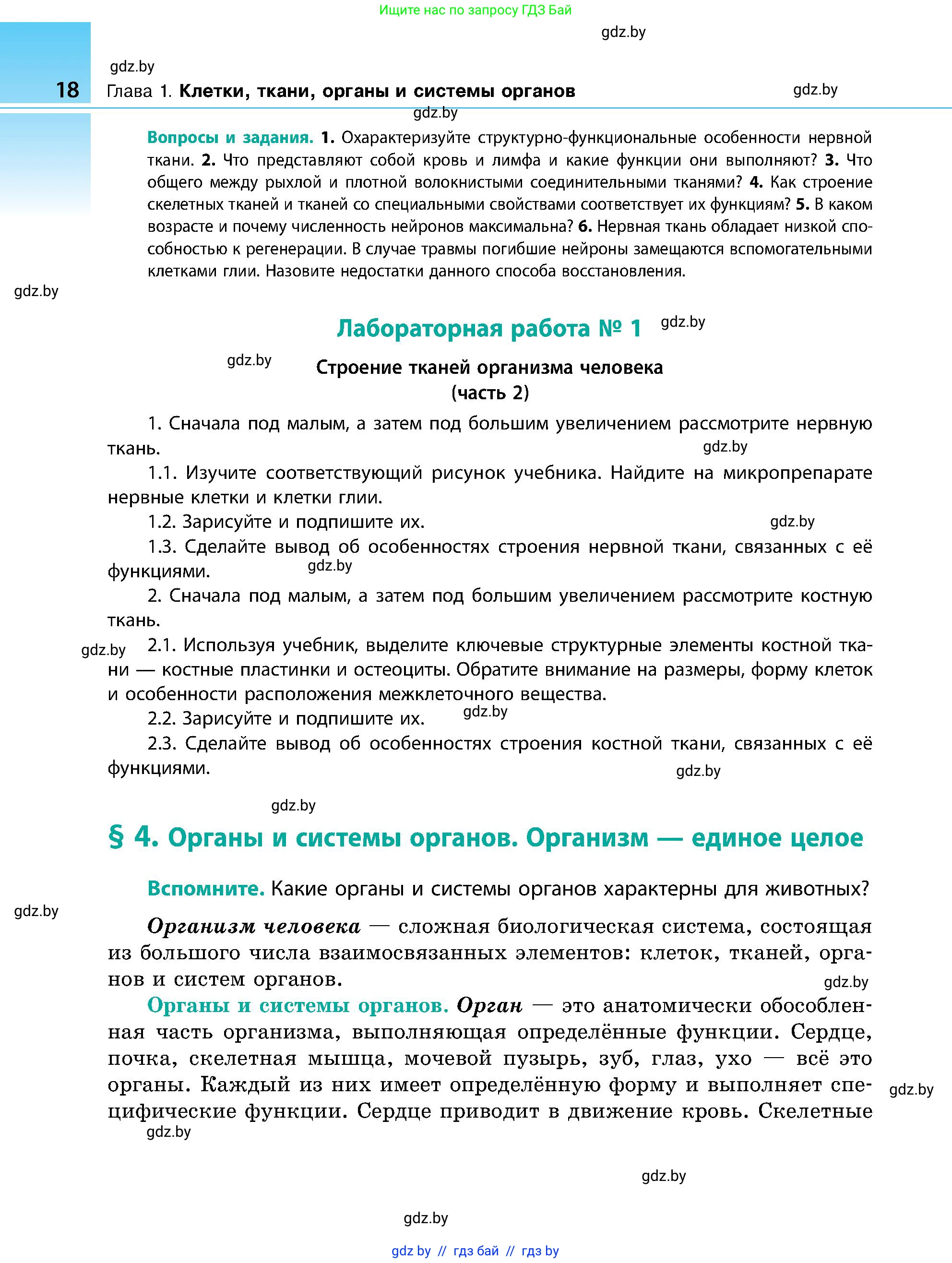 Биология, 9 класс Учебник, авторы: Борисов Олег Леонидович, Антипенко Алеся Анатольевна, Рогожников Олег Николаевич, издательство Адукацыя i выхаванне, Минск, 2025, бирюзового цвета, страница 18