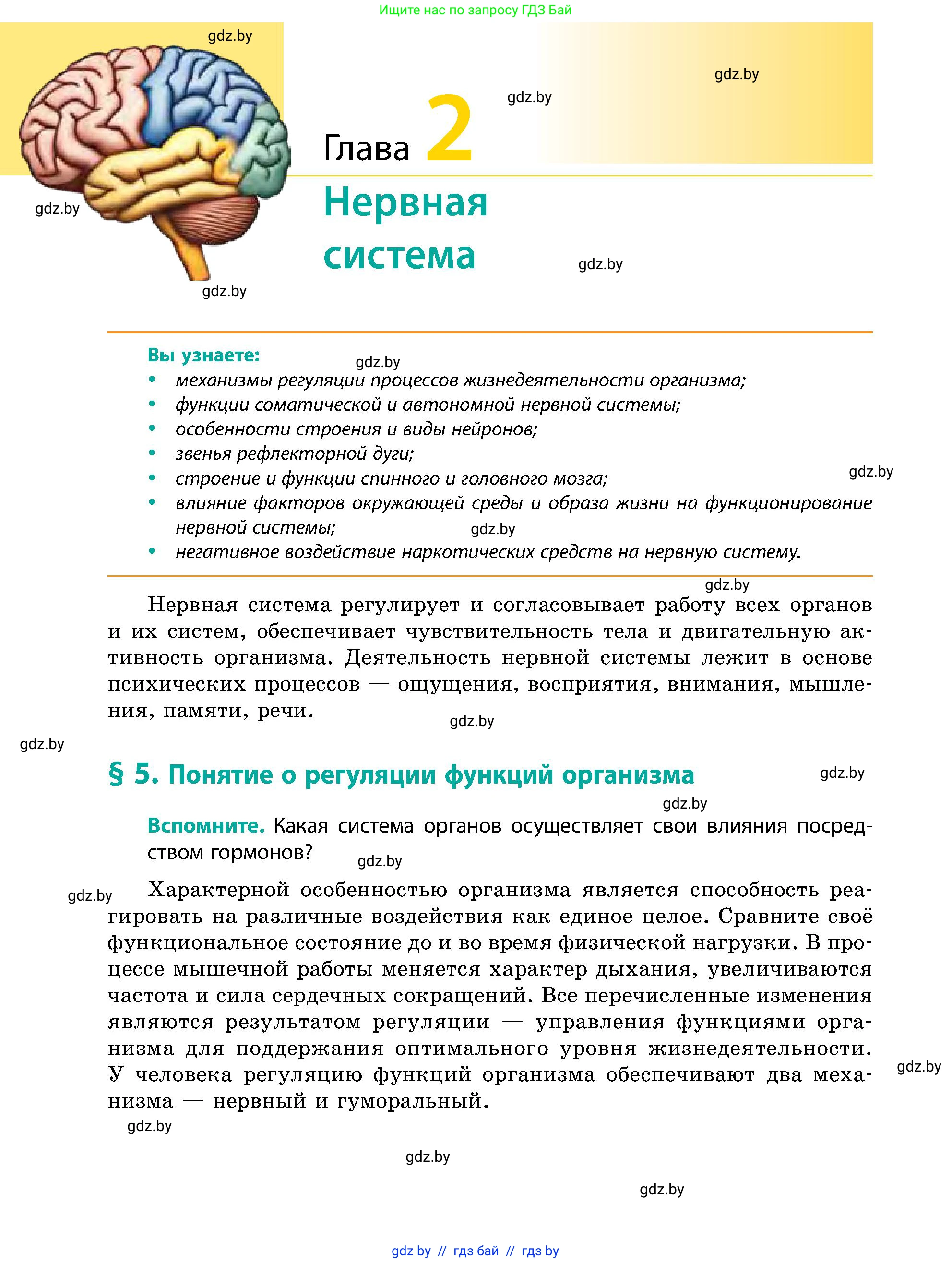 Биология, 9 класс Учебник, авторы: Борисов Олег Леонидович, Антипенко Алеся Анатольевна, Рогожников Олег Николаевич, издательство Адукацыя i выхаванне, Минск, 2025, бирюзового цвета, страница 24