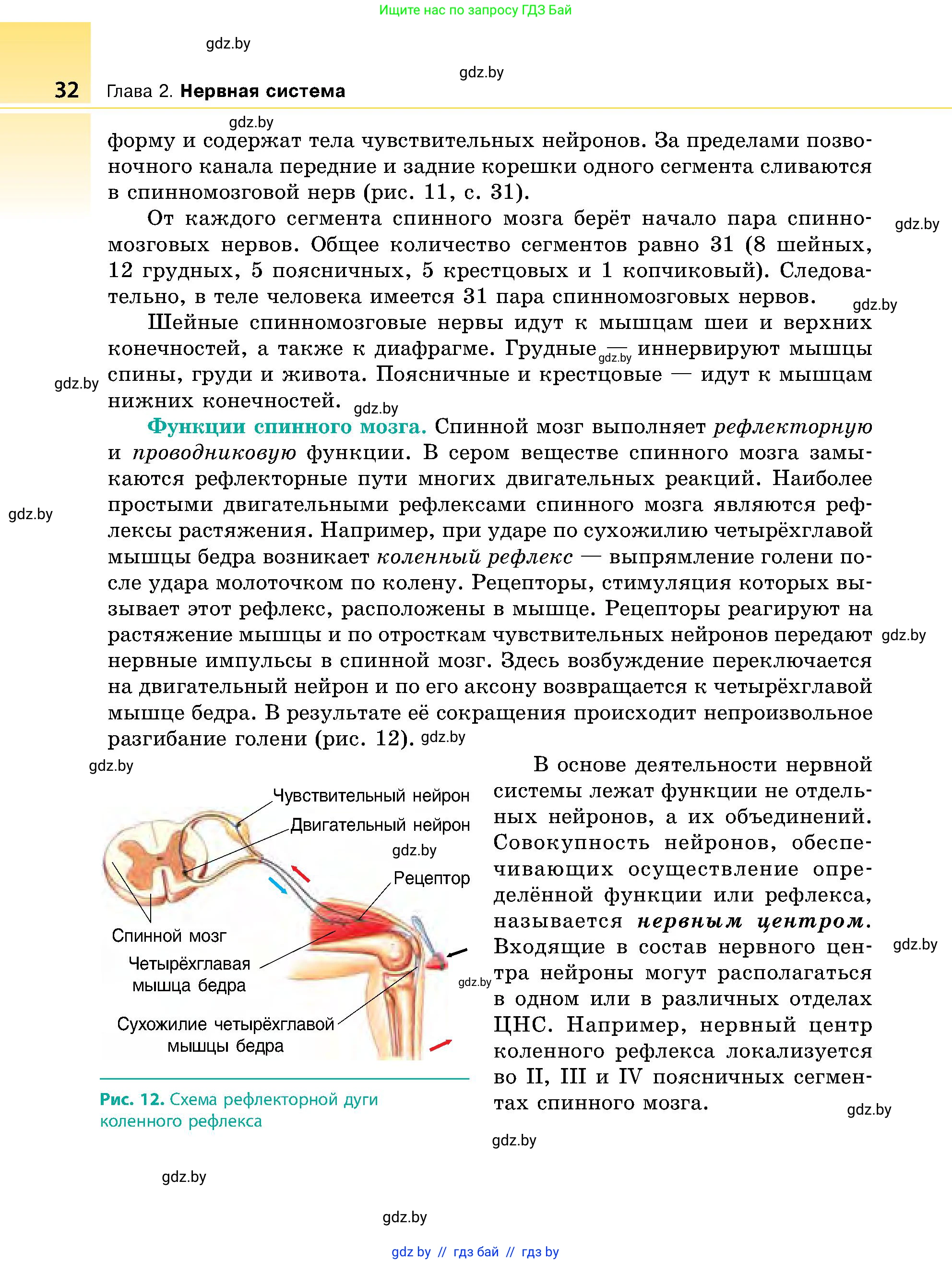 Биология, 9 класс Учебник, авторы: Борисов Олег Леонидович, Антипенко Алеся Анатольевна, Рогожников Олег Николаевич, издательство Адукацыя i выхаванне, Минск, 2025, бирюзового цвета, страница 32