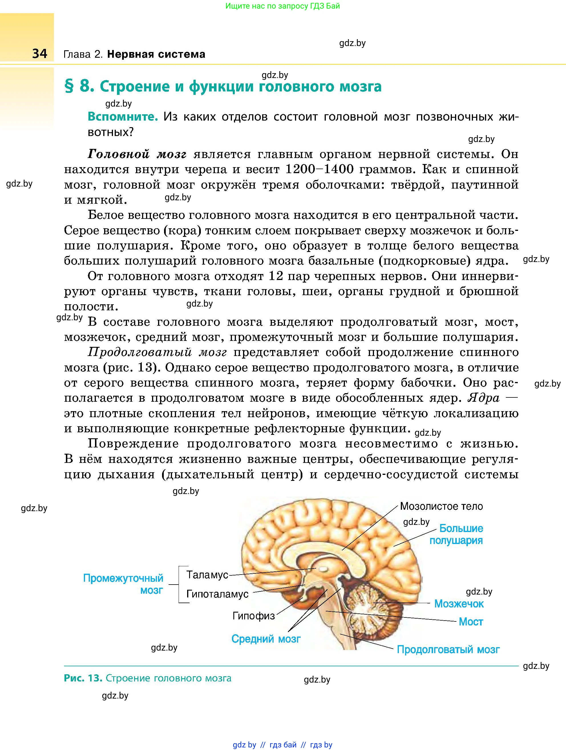 Биология, 9 класс Учебник, авторы: Борисов Олег Леонидович, Антипенко Алеся Анатольевна, Рогожников Олег Николаевич, издательство Адукацыя i выхаванне, Минск, 2025, бирюзового цвета, страница 34