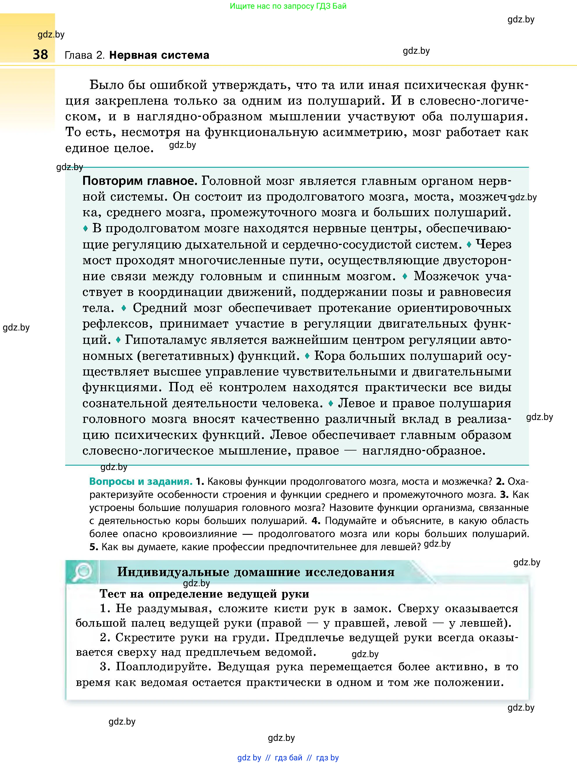 Биология, 9 класс Учебник, авторы: Борисов Олег Леонидович, Антипенко Алеся Анатольевна, Рогожников Олег Николаевич, издательство Адукацыя i выхаванне, Минск, 2025, бирюзового цвета, страница 38
