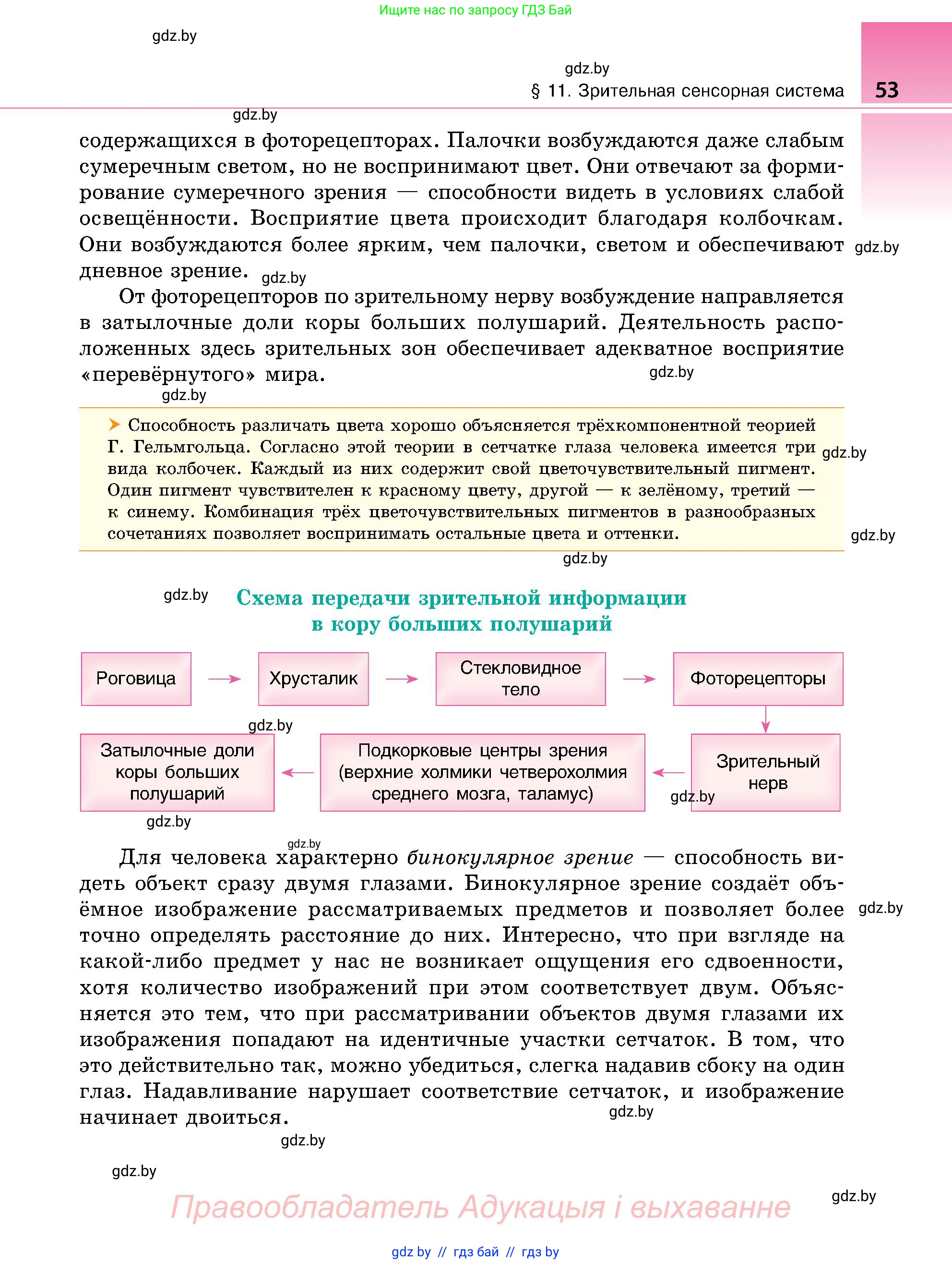 Биология, 9 класс Учебник, авторы: Борисов Олег Леонидович, Антипенко Алеся Анатольевна, Рогожников Олег Николаевич, издательство Адукацыя i выхаванне, Минск, 2025, бирюзового цвета, страница 53