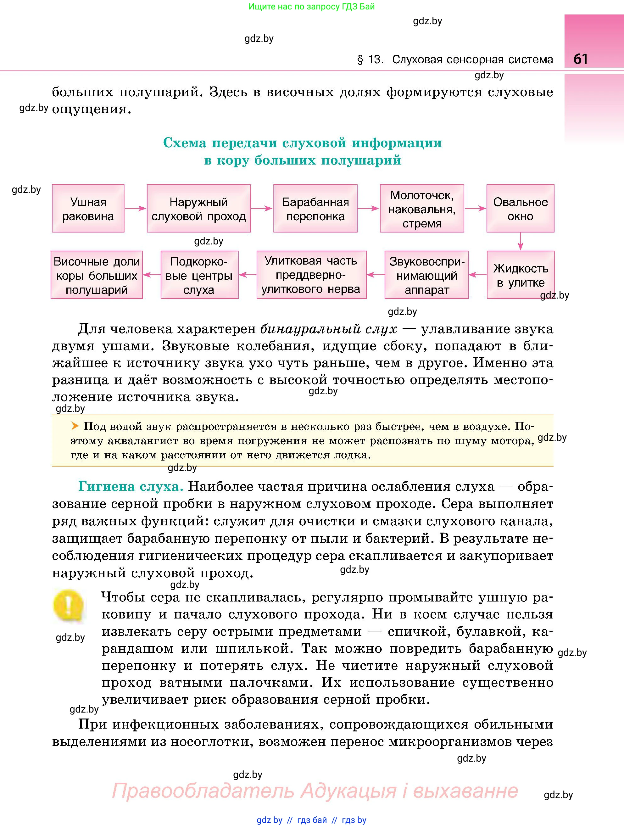 Биология, 9 класс Учебник, авторы: Борисов Олег Леонидович, Антипенко Алеся Анатольевна, Рогожников Олег Николаевич, издательство Адукацыя i выхаванне, Минск, 2025, бирюзового цвета, страница 61