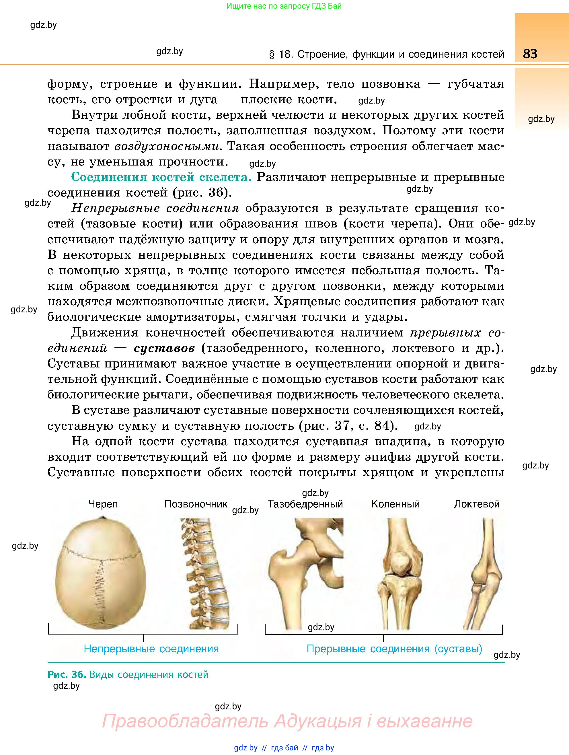 Биология, 9 класс Учебник, авторы: Борисов Олег Леонидович, Антипенко Алеся Анатольевна, Рогожников Олег Николаевич, издательство Адукацыя i выхаванне, Минск, 2025, бирюзового цвета, страница 83