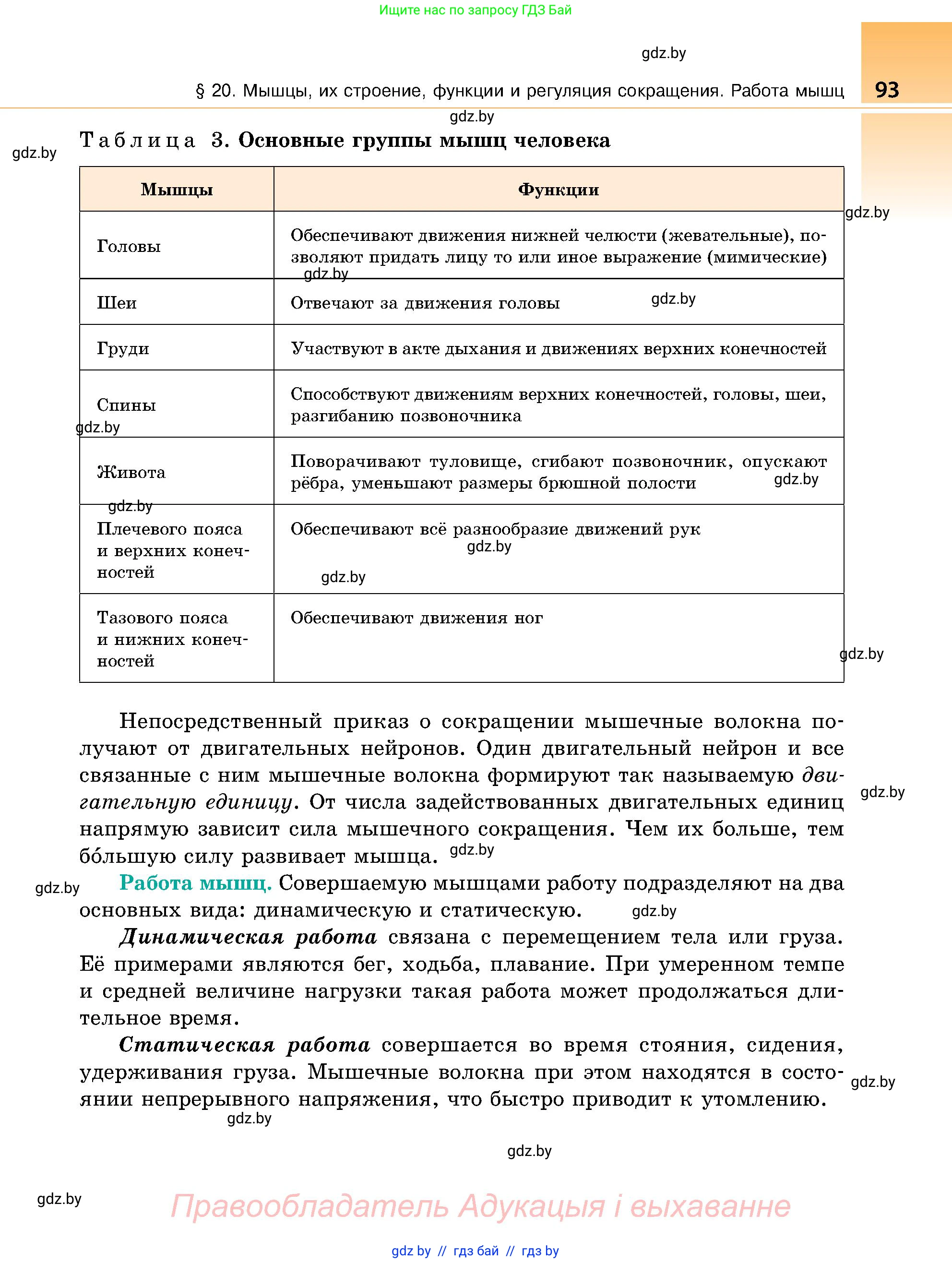 Биология, 9 класс Учебник, авторы: Борисов Олег Леонидович, Антипенко Алеся Анатольевна, Рогожников Олег Николаевич, издательство Адукацыя i выхаванне, Минск, 2025, бирюзового цвета, страница 93