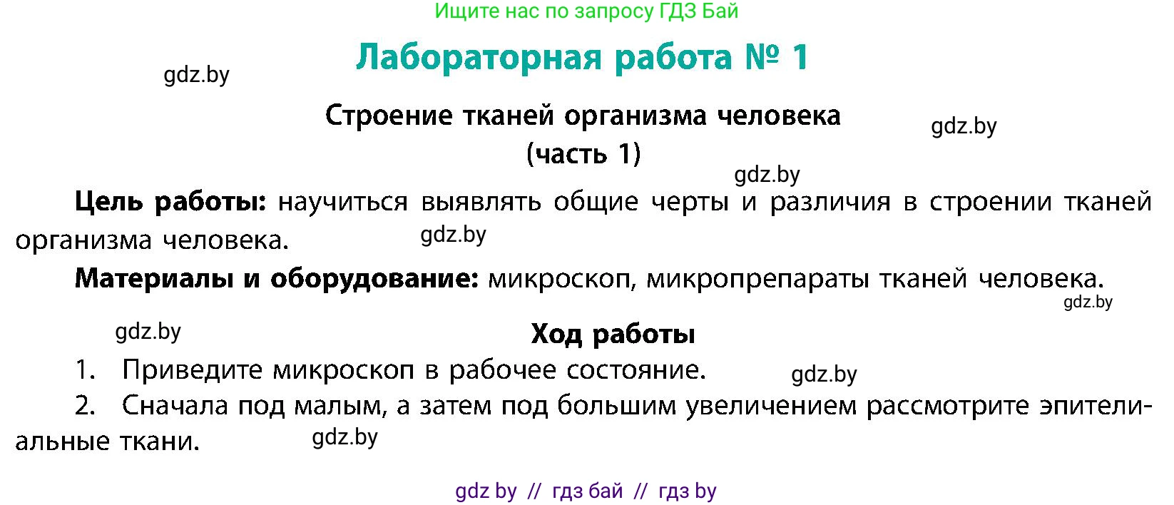 Биология, 9 класс Учебник, авторы: Борисов Олег Леонидович, Антипенко Алеся Анатольевна, Рогожников Олег Николаевич, издательство Адукацыя i выхаванне, Минск, 2025, бирюзового цвета, страница 13, Условие