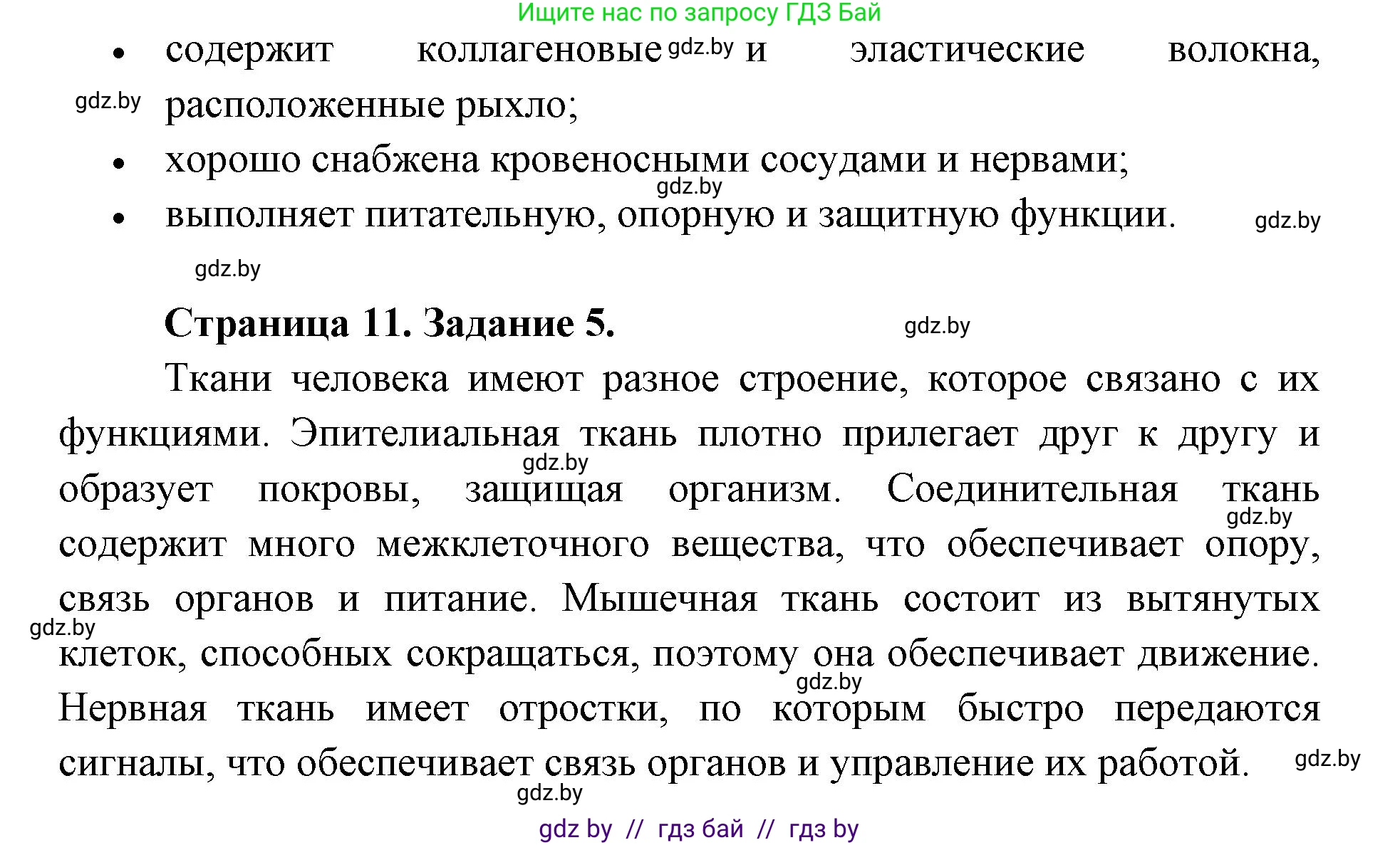 Биология, 9 класс Тетрадь для лабораторных и практических работ, автор: Лисов Николай Дмитриевич, издательство Аверсэв, Минск, 2025, оранжевого цвета, страница 4, Решение 2025 (продолжение 3)